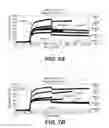 Fig. 08 - POLYPEPTIDES, ANTIBODY VARIABLE DOMAINS & ANTAGONISTS