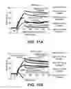 Fig. 15 - POLYPEPTIDES, ANTIBODY VARIABLE DOMAINS & ANTAGONISTS