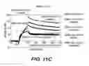 Fig. 16 - POLYPEPTIDES, ANTIBODY VARIABLE DOMAINS & ANTAGONISTS