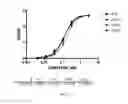Fig. 71 - POLYPEPTIDES, ANTIBODY VARIABLE DOMAINS & ANTAGONISTS