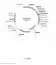 Fig. 76 - POLYPEPTIDES, ANTIBODY VARIABLE DOMAINS & ANTAGONISTS