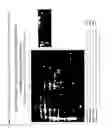 Fig. 09 - Method for identifying interventions that control the translational activity of ribosomal proteins in differential mRNA expression
