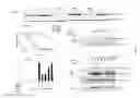 Fig. 02 - METHODS FOR MODULATING METABOLIC AND CIRCADIAN RHYTHMS