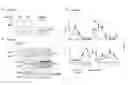 Fig. 06 - METHODS FOR MODULATING METABOLIC AND CIRCADIAN RHYTHMS