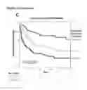 Fig. 22 - Methods of Prognosis for Non-Hodgkin Lymphoma