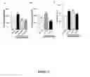 Fig. 04 - Polypeptides and methods for modulating D1-D2 dopamine receptor interaction and function