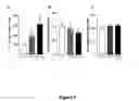 Fig. 09 - Polypeptides and methods for modulating D1-D2 dopamine receptor interaction and function
