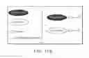 Fig. 57 - Mesothelin antibody protein fusions and methods of use