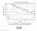 Fig. 06 - METHOD FOR PREDICTING THE THERAPEUTIC RESPONSEIVENESS OF A PATIENT TO A MEDICAL TREATMENT WITH AN EGFR INHIBITOR