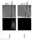 Fig. 06 - METHODS AND COMPOSITIONS FOR TREATING OCULAR DISORDERS