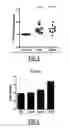 Fig. 03 - Compounds and Methods for the Treatment of Cancer