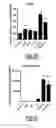 Fig. 08 - Compounds and Methods for the Treatment of Cancer