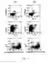 Fig. 10 - Anti-ILT7 antibody