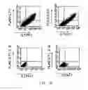 Fig. 15 - Anti-ILT7 antibody