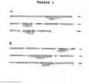 Fig. 02 - ULTRA HIGH AFFINITY NEUTRALIZING ANTIBODIES