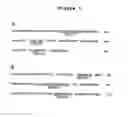Fig. 04 - ULTRA HIGH AFFINITY NEUTRALIZING ANTIBODIES