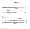 Fig. 05 - ULTRA HIGH AFFINITY NEUTRALIZING ANTIBODIES