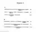 Fig. 07 - ULTRA HIGH AFFINITY NEUTRALIZING ANTIBODIES