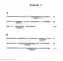 Fig. 08 - ULTRA HIGH AFFINITY NEUTRALIZING ANTIBODIES
