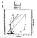 Fig. 11 - ULTRA HIGH AFFINITY NEUTRALIZING ANTIBODIES
