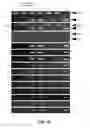 Fig. 04 - Induction of Pancreatic Stem Cells by Transient Overexpression of Reprogramming Factors and PDX1 Selection
