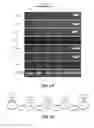 Fig. 05 - Induction of Pancreatic Stem Cells by Transient Overexpression of Reprogramming Factors and PDX1 Selection