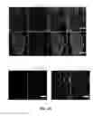 Fig. 08 - Induction of Pancreatic Stem Cells by Transient Overexpression of Reprogramming Factors and PDX1 Selection