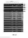 Fig. 12 - Induction of Pancreatic Stem Cells by Transient Overexpression of Reprogramming Factors and PDX1 Selection