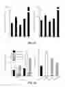Fig. 17 - Induction of Pancreatic Stem Cells by Transient Overexpression of Reprogramming Factors and PDX1 Selection