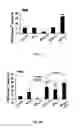 Fig. 02 - INDUCTION OF NEUROGENESIS AND STEM CELL THERAPY IN COMBINATION WITH COPOLYMER 1