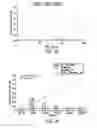 Fig. 03 - ERG monoclonal antibodies