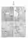 Fig. 07 - ERG monoclonal antibodies