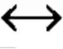 Fig. 02 - MULTIPLE DELIVERY SYSTEM FOR HETEROLOGOUS ANTIGENS