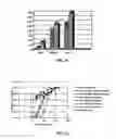 Fig. 07 - EXPRESSION OF PROTECTIVE ANTIGENS IN TRANSGENIC CHLOROPLASTS AND THE PRODUCTION OF IMPROVED VACCINES