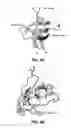 Fig. 07 - Immunosuppressor based on the blockage of TCR-Nck interaction