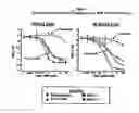 Fig. 02 - Methods using immunomodulatory compounds for treatment of certain leukemias
