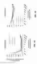 Fig. 02 - EXTENDED-RELEASE FORMULATION FOR REDUCING THE FREQUENCY OF URINATION AND METHOD OF USE THEREOF