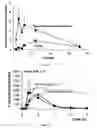 Fig. 04 - NANOPARTICULATE TELMISARTAN COMPOSITIONS AND PROCESS FOR THE PREPARATION THEREOF