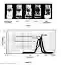 Fig. 10 - NANOPARTICULATE TELMISARTAN COMPOSITIONS AND PROCESS FOR THE PREPARATION THEREOF