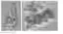 Fig. 01 - Core-shell magnetic particles and related methods