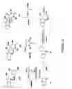 Fig. 26 - E3 LIGASE INHIBITORS