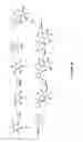 Fig. 28 - E3 LIGASE INHIBITORS