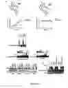 Fig. 31 - E3 LIGASE INHIBITORS