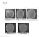 Fig. 02 - SOAP COMPOSITION FOR TREATING ACNE CONTAINING ABSOLUTE GINSENG ESSENTIAL OIL