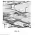 Fig. 07 - Method of making implantable medical devices having controlled surface properties