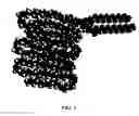 Fig. 02 - RGD PEPTIDE ATTACHED TO BIOABSORBABLE STENTS