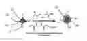 Fig. 01 - POLYMERIZATION ON PARTICLE SURFACE WITH REVERSE MICELLE