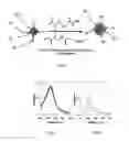 Fig. 02 - POLYMERIZATION ON PARTICLE SURFACE WITH REVERSE MICELLE