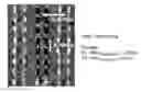 Fig. 01 - Methods of forming topographical features using segregating polymer mixtures