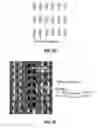 Fig. 23 - Methods of forming topographical features using segregating polymer mixtures